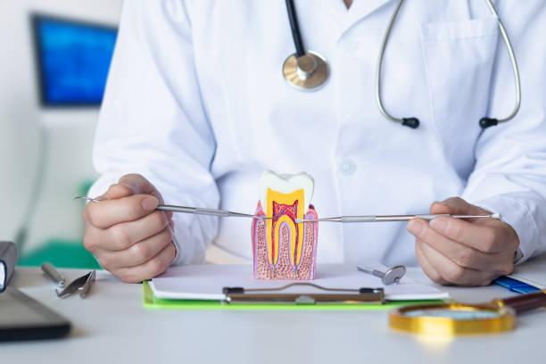 Best Urgent Dental Care for Toothache in Gore, OK